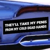 Pedophiles claim 2nd Amendment protection