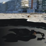 Canadian goose who survived collision with US Airways Flight 1549 dies in Gulf spill