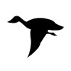 Canadian goose who survived collision with US Airways Flight 1549 dies in Gulf spill